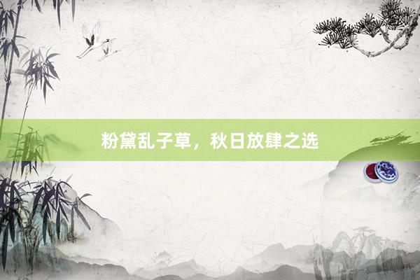粉黛乱子草，秋日放肆之选