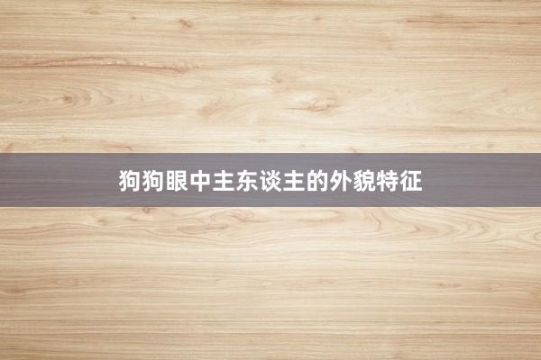 狗狗眼中主东谈主的外貌特征